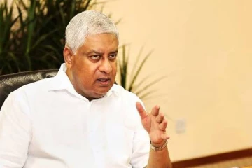 பதவி விலகுமாறு சிலர் அழுத்தம் கொடுக்கின்றனர்: பொதுமக்கள் பாதுகாப்பு அமைச்சர்