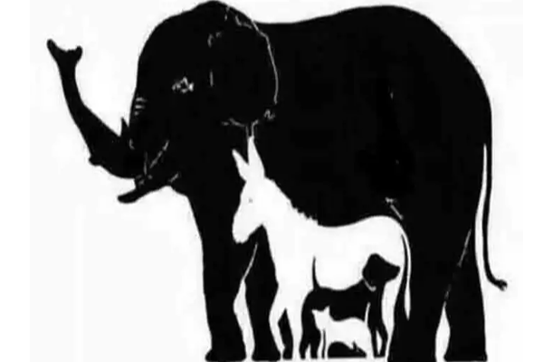 இதில் மொத்தம் எத்தனை விலங்குகள் இருக்கிறது தெரியுமா? இத்தனையா...? | How Many Animals Are Hidden In The Picture