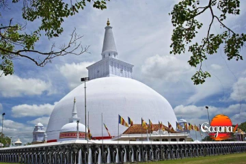 පව්කාරයෝ පන්සලට පැනලා ලක්ෂ ගාණක් විදලා