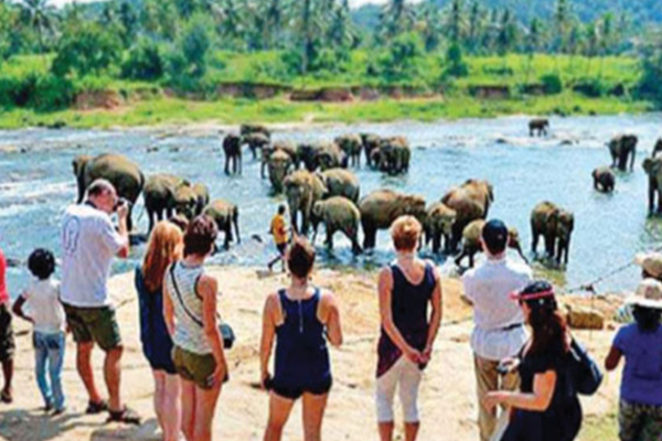 அதிகரித்துள்ள சுற்றுலாப் பயணிகளின் வருகை | Sri Lanka Tourism