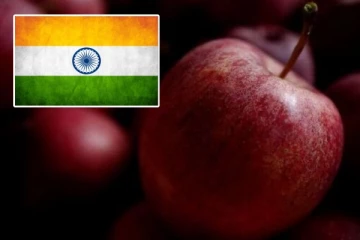 உணவு இறக்குமதி சோதனையை கடுமையாக்கும் இந்தியா! இலங்கை, சீனா, ஜப்பான் சரக்குகள் நிராகரிப்பு