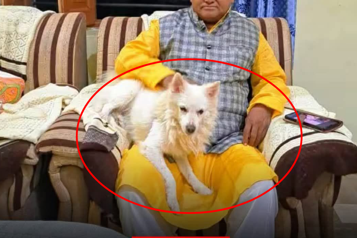 எஜமானின் இழப்பை தாங்காது உயிரிழந்த ஐந்தறிவு ஜீவன்; இறுதி ஊர்வலத்தில் நிகழ்ந்த சோகம் | Dog Dies Owner Deeply That When His Owner Passed