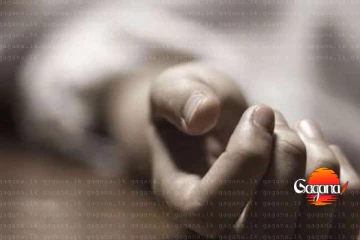 තනියම හිටපු මහළු මවට කරපු අහස පොළොව නුහුලන අපරාධයක්
