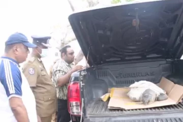 புத்தளத்தில் உயிரிழந்த நிலையில் மீட்கப்பட்ட ஆமை (Photos)