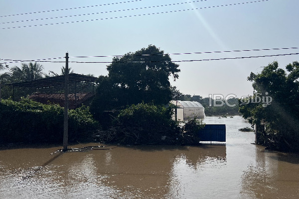 மன்னாரில் வெள்ளத்தால் பாதிக்கப்பட்ட இடங்களை பார்வையிட்ட வடக்கு ஆளுநர்! | Northern Governor Visit Mannar District