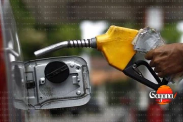 තෙල් මිල අඩු වීමෙන් පසු සිනොපෙක් තෙල් මිලද අඩුවේ - නව මිල මෙන්න