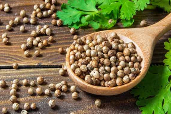உடலில் தொப்பையை குறைக்கும் மூலிகை | Herb That Reduces Belly Fat In The Body