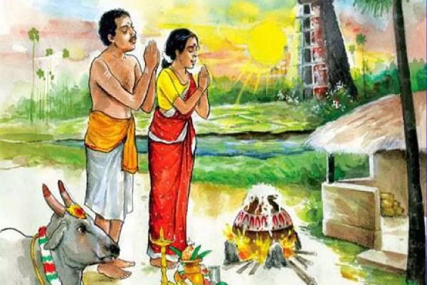 இயற்கை வழிபாட்டின் மகத்துவத்தையும் தமிழர் நேயத்தையும் உணர்த்தும் பொங்கல்... | Thai Pongal Festival Tamils