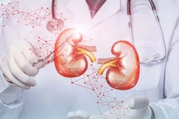 இந்த தவறுகளை மட்டும் செய்யாதீங்க! சிறுநீரக கோளாறு ஏற்படும் ஜாக்கிரதை