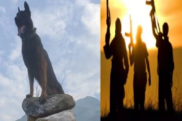 தாய்நாட்டிற்காக ரத்த காயத்தோடு.. பயங்கரவாதிளை பிடித்த நாய் : குவியும் பாராட்டு