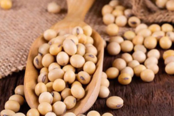 உங்க குழந்தைகளின் உயரம் அதிகரிக்க வேண்டுமா அப்போ இந்த உணவுகளை கொடுங்கள் | Give Your Kids These Foods Increase Their Height