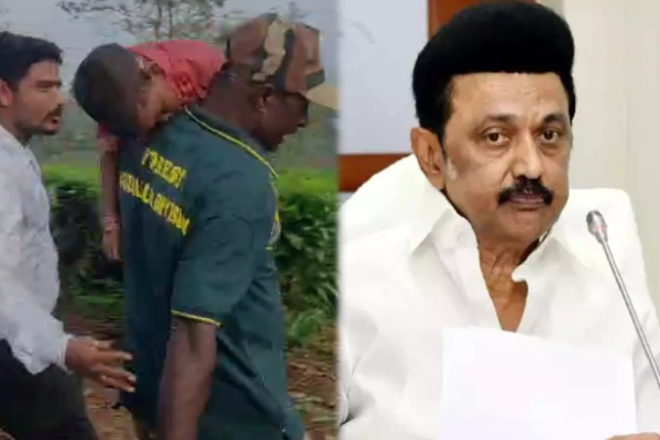 சிறுத்தை தாக்கி 3 வயது குழந்தை உட்பட இருவர் பலி - முதலமைச்சர் நிதியுதவி அறிவிப்பு! - தமிழ்நாடு