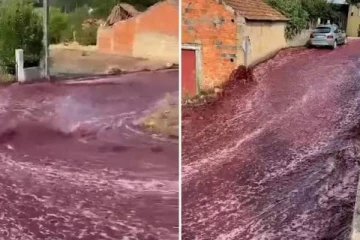 எல்லாம் வீணா போச்சே.. சாலையில் வெள்ளம் போல் ஓடிய 22 லட்சம் லிட்டர் ரெட் ஒயின் - என்ன காரணம்?