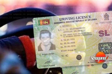 සියලුම වාහන හිමියන්ට රියදුරු බලපත්‍ර ගාස්තු ගැන විශේෂ දැනුම් දීමක් - මෝටර් රථ ප්‍රවාහන කොමසාරිස්