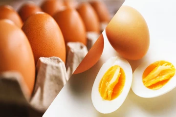 உள்நாட்டு உற்பத்தி அழிவை சந்திக்கும்: முட்டை இறக்குமதிக்கு எதிர்ப்பு