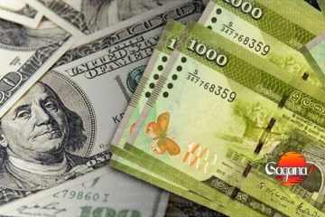 අද ඩොලරය රු. 312 - විකුණුම් අනුපාතය ස්ථාවරයි