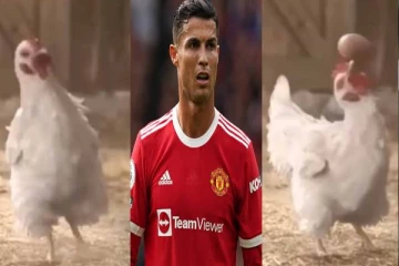 முட்டையை வைத்து கால்பந்து விளையாடும் கோழி - ரொனால்டோவுக்கே டஃப் கொடுக்கும் வைரல் வீடியோ