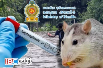 எலிக்காய்ச்சல் பரவும் அபாயம் : சுகாதார அமைச்சு விடுத்துள்ள எச்சரிக்கை