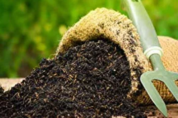 பசளை விடயத்தில் அரசின்  அறிவிப்பு விவசாயிகளை நிலைகுலையச் செய்துள்ளது!  மு. சந்திரகுமார்