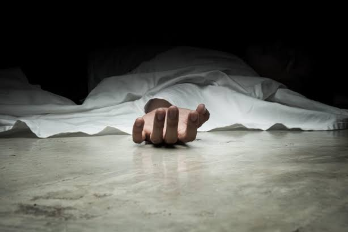 யாழில் குளவிக் கொட்டுக்கு இலக்கான முதியவர் பலி | Elderly Man Dies Being Stung By Wasp Jaffna