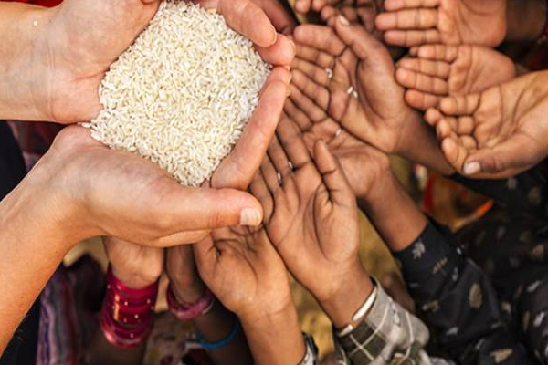 உலகளாவிய உணவு நெருக்கடிக்கு ஆளான 48 நாடுகள்!IMF தகவல் | 48 Countries Affected By Global Food Crisis Imf