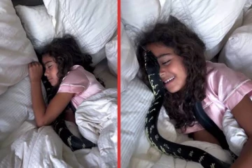 viral video:பாம்பை பொம்மை போல் கட்டியணைத்து உறங்கும் குழந்தை... பகீர் காட்சி!