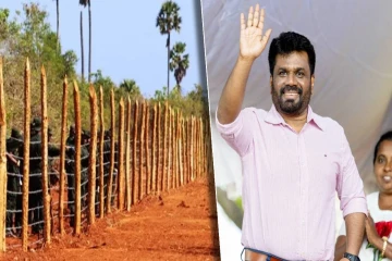 யாழில் 187 ஏக்கர் காணிகள் விடுவிப்பு - பல போராட்டங்களுக்கு மத்தியில் கிடைத்த தீர்வு