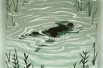 අභිරහසක් ඉතිරි කරමින් දැරියකගේ සිරුරක් ජලාශයකින්..