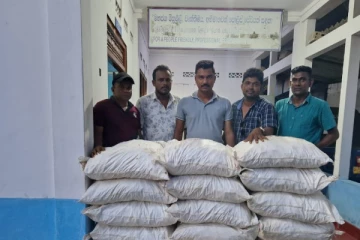 யாழில் 500 கிலோ மஞ்சளுடன் ஒருவர் கைது