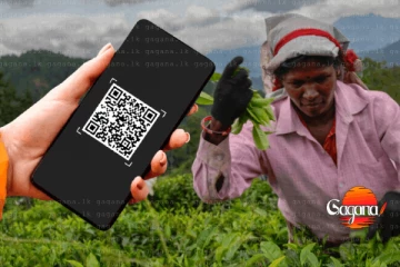 තේ කර්මාන්තට එකතුවුණු අලුත්ම අමුත්තා ගැන දැනුම්දීමක්