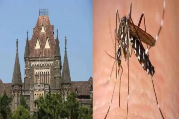 சிறையில் முடியல ஐயா .. கொசுக்களை கோர்ட்டுக்கு கொண்டு வந்த தாதா : மும்பையில் அரங்கேறிய விநோத வழக்கு