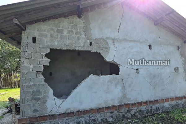 திருகோணமலையில் தொடரும் காட்டு யானைகளின் அட்டகாசம்! | Wild Elephants Attack In Trincomalee