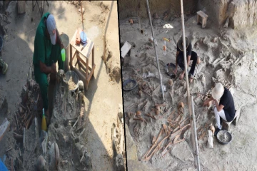 மன்னார் மனித புதைகுழி விவகாரம்- எடுக்கப்பட்ட முக்கிய தீர்மானம் (Video)