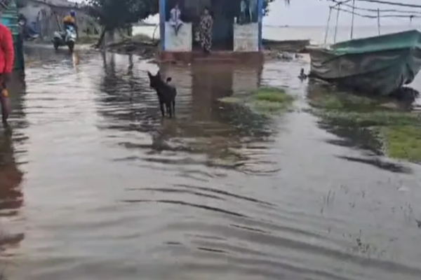 யாழில் சீரற்ற காலநிலையால் நூற்றுக்கணக்கானோர் பாதிப்பு! | 560 People Affected By Inclement Weather In Jaffna