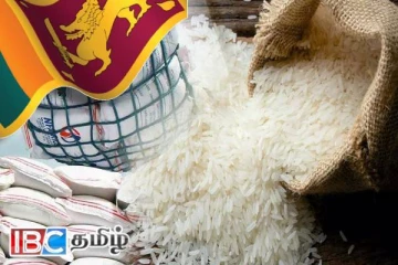 அரிசி இறக்குமதி குறித்து வெளியான தகவல்