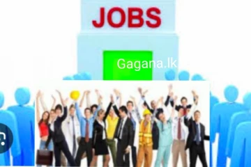 මෙරට තරුණ තරුණියන්ට ඉහළ වැටුප් සහිත ලංකාවේම රැකියා අවස්ථාවක්..අදම අයදුම් කරන්න..