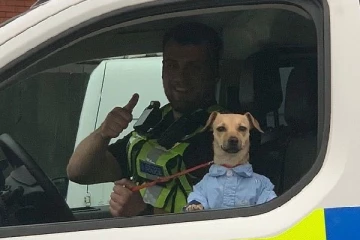 பிரித்தானியாவில் பொலிஸார் மீட்ட ஸ்மார்ட் உடையணிந்த நாய்: வைரலாகும் புகைப்படம்