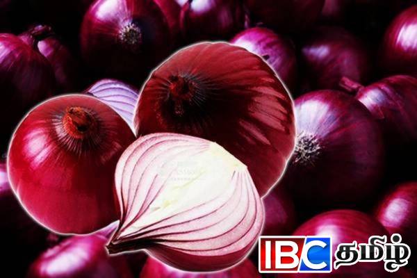 பெரிய வெங்காய இறக்குமதி குறித்து வெளியான தகவல்