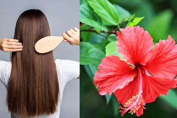 அசுர வேகத்தில் அடர்த்தியாக முடி வளர என்ன செய்யலாம்?