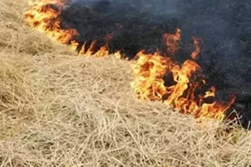வைக்கோலுக்கு தீ வைக்கச் சென்ற பெண் தீயில் சிக்கி உயிரிழப்பு