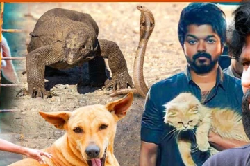 ஷூட்டிங் விலங்குகள்.. எப்படி ட்ரெய்னிங் கொடுக்கிறார்கள் பாருங்க