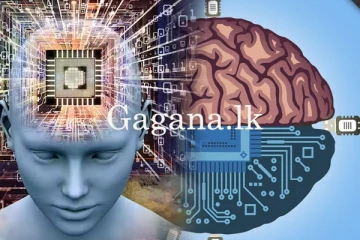 මොළය වෙත දැනුම කෘත්‍රීමව Upload කරන ආකාරය ගැන මීට කලින් දැනගෙන හිටියද? - (VIDEO)