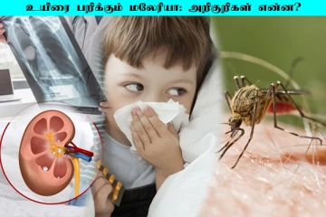 மரணத்தையும் ஏற்படுத்தும் மலேரியா... அறிகுறிகள் என்ன?