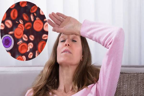 ஆட்டிறைச்சியில் இவ்வளவு நன்மைகளா! வாரத்திற்கு எத்தனை முறை சாப்பிடலாம்? | Mutton Health Benefits In Tamil ஆட்டிறைச்சியில் இவ்வளவு நன்மைகளா! வாரத்திற்கு எத்தனை முறை சாப்பிடலாம்? | Mutton Health Benefits In Tamil