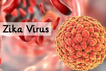 அச்சுறுத்தும் ஜிகா வைரஸ்! கர்ப்பிணிகளுக்கு என்ன நடக்கும்?