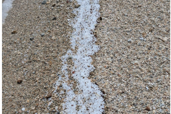 யாழில் கடற்கரைகளில் குவியும் பிளாஸ்டிக் துகள்கள்! | Plastic Particles Accumulating Beaches In Jaffna யாழில் கடற்கரைகளில் குவியும் பிளாஸ்டிக் துகள்கள்! | Plastic Particles Accumulating Beaches In Jaffna