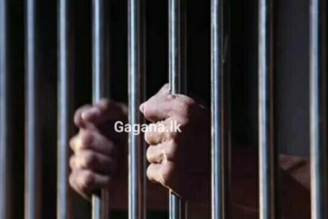 අපරාධ කල්ලියක් බලහත්කාරයෙන් රඳවා සිටි ශ්‍රී ලාංකිකයන් පිරිසක් බේරා ගැනේ..