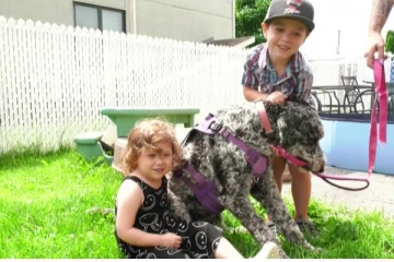 கனடாவில் வாடகை வீடு பெறுவதில் இப்படியொரு சிக்கலா?