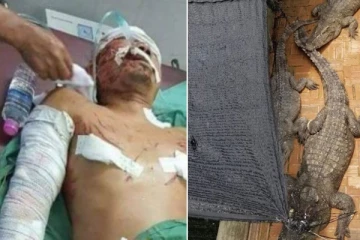 50 முதலைகள் இருந்த குழிக்குள் விழுந்த நபர்: பின்னர் நடந்த பயங்கரம்