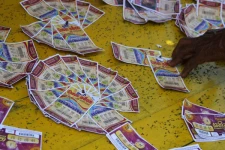 ஒரே இலக்கம் கொண்ட 2 லொத்தர் சீட்டுகளால் சர்ச்சை